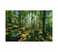 HOQIU Canvas Wall Art Green Forestse Rocks canvas art, art print, house decor, bedroom wall decor above bed, prints for living room.(Multicolor)-60x80cm Unframed
