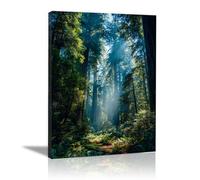 HOQIU Landscape Wall Art Illuminate the forest landscape canvas art, art print, house decor, bedroom wall decor above bed, prints for living room.(blue)-40x60cm Framed