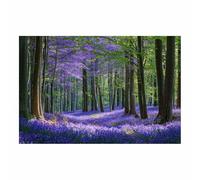 HOQIU Natural scenery wall art Bluebell Forestse Floor decorative painting, wall art, for Living Room Bathroom Bedroom Kitchen Decoration.(Multicolor)-30x40cm Unframed