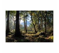 HOQIU Natural scenery wall art Fuji Forestse opinion decorative painting, wall art, for Living Room Bathroom Bedroom Kitchen Decoration.(Multicolor)-80x120cm Unframed