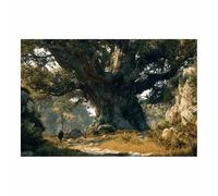 HOQIU Print Canvas Poster Decor Ancient Tree Nature Decor canvas prints, nature wall art, for Bathroom Home Office Decor(Multicolor)-60x80cm Unframed