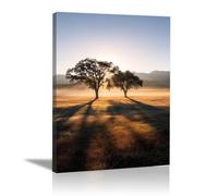 HOQIU Vintage Wall Art The sun rises from the prairie trees decorative painting, wall art, for Living Room Bathroom Bedroom Kitchen Decoration.(yellow)-80x120cm Framed