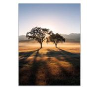 HOQIU Vintage Wall Art The sun rises from the prairie trees decorative painting, wall art, for Living Room Bathroom Bedroom Kitchen Decoration.(yellow)-80x120cm Unframed