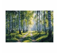 HOQIU Wall art for home decor Birch Forestse Pathway canvas artwork for wall, art prints, For living room, bedroom, bathroom, dining room, painting and decor.(Multicolor)-60x80cm Unframed
