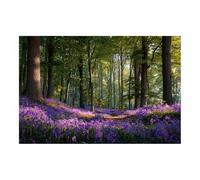 HOQIU Wall art for home decor Bluebell Forestse Path canvas artwork for wall, art prints, For living room, bedroom, bathroom, dining room, painting and decor.(Multicolor)-80x120cm Unframed