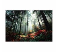 HOQIU Wall art for home decor Bluebell Woods Scenic Print canvas artwork for wall, art prints, For living room, bedroom, bathroom, dining room, painting and decor.(Multicolor)-30x40cm Unframed