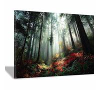 HOQIU Wall art for home decor Bluebell Woods Scenic Print canvas artwork for wall, art prints, For living room, bedroom, bathroom, dining room, painting and decor.(Multicolor)-40x60cm Framed