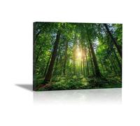 HOQIU Wall Art For Home Decor Illuminate the forest landscape canvas artwork for wall, art prints, For living room, bedroom, bathroom, dining room, painting and decor.(green)-70x100cm Framed