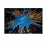 HOQIU Wall art for home decor Milky Way Forests s Views canvas artwork for wall, art prints, For living room, bedroom, bathroom, dining room, painting and decor.(Multicolor)-40x60cm Unframed