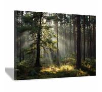 HOQIU Wall art for home decor Sunlit Forestse Path canvas artwork for wall, art prints, For living room, bedroom, bathroom, dining room, painting and decor.(Multicolor)-60x80cm Framed