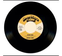Horace Andy - Down Here