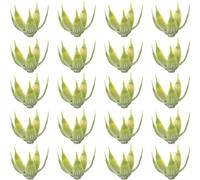 HORIALENCE 50pcs DIY Plastic Calyxes Artificial Flower Calyxes Receptacles Green Vivid Realistic Plastic Sepals for Rose Flowers Craft Needs