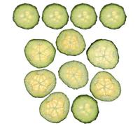 HORIALENCE Dried Pressed Cucumber Slices 12pcs Shiny Textured Effect and Lightweight Plant Material for DIY Crafts for Phone Case Decoration and Bookmarks