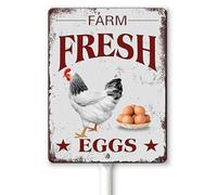Horienteeon Chicken Signs Farm Fresh Eggs Yard Sign with Stakes 17.5×22cm Sturdy Aluminum Yard Signs Rust Free, Eggs for Sale Sign - Farm Fresh/We Sell Eggs Sign Outdoor Yard