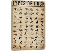 Horienteeon Duck Knowledge Metal Poster Type Of Duck Metal Aluminum Sign School Club Hunting Lodge Cafe Bedroom Bathroom Kitchen Home Art Wall Decoration 20x30cm