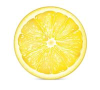 Horienteeon Fruits Coasters for Drinks Set of 4, 10cm Round Ceramic Stone Lemon Slices Mat Coaster, with Cork Base and Metal Holder for Home Bar Decor House Warming Gift