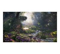 Horizon Forbidden West (PS5)