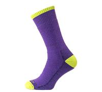 Horizon Premium Merino Trek Sock (Purple Marl/Lime, M)