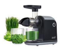 Horizontal Cold Press Masticating Juicer, Quiet Motor, Stylish Design, Large Feeding Mouth