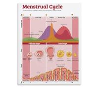 Hormone Cycle Awareness Poster PMS Symptom Tips Canvas Wall Hanging for Women Wellness Center(Unframed,16x24inch(40x60cm))