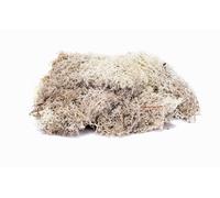 Hornby R7193 Lichen - Stone Grey for Model Railway OO Gauge, Model Train Accessories for Adding Scenery, Dioramas, Woodland, Buildings and More, Model Making Kits - 1:76 Scale Model Accessory