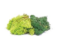 Hornby R7194 Lichen - Green Mix for Model Railway OO Gauge, Hornby Accessories for Adding Scenery, Dioramas, Woodland, Buildings and More, Model Making Kits - 1:76 Scale Accessory