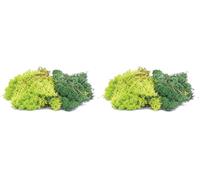 Hornby R7194 Lichen - Green Mix, OO Gauge Model Railway Scenery (Pack of 2)