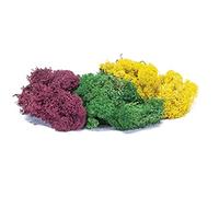 Hornby R7197 Lichen - Large Autumn Mix for Model Railway OO Gauge, Model Train Accessories for Adding Scenery, Dioramas, Woodland, Buildings and More, Model Making Kits - 1:76 Scale Model Accessory