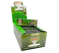 Hornet Flavoured Rolling Paper Full Box - 50 Booklets, 1600 Leaves, Regular Size & King Size Cigarette Rolling Papers, Slow Burn, Ultra-Thin Smoking Paper (Vanilla)