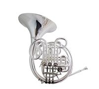 Horns F/Bb French Horn Musical Instruments Double French Horn Silver Plated With Case Mouthpiece Wind Instrument