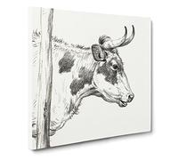Horns of the Cow by Jean Bernard Canvas Print | Gallery Wrapped 30mm Frame Wall Art | 20x20 inches | Ready to Hang | Retro Animals Picture | Living Room Bedroom Lounge Office