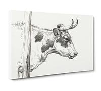 Horns Of The Cow By Jean Bernard Canvas Print | Gallery Wrapped 30mm Frame Wall Art | 30x20 inches | Ready to Hang | Retro Animals Picture | Living Room Bedroom Lounge Office