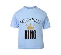 Horoscope - Aquarius - Zodiac Star Sign Birthday (King Crown Style) Short Sleeve Cotton Toddler t Shirt, 3-4 Years, Pastel Blue