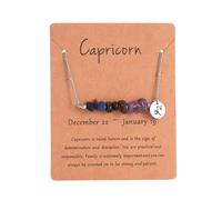 Horoscope Necklace for Women, 12 Zodiac Signs Pendant with Natural Birthstones, Stainless Steel Astrology Jewelry, Unique Gift for Birthday Christmas (Capricorn)