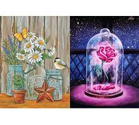 HORPKUN 2 Pack 5D Diamond Painting Kits, Full Drill Diamond Beauty and The Beast Rose Art Kits, DIY Kids Adults Crystal Art Kits for Home Wall Decor 40x30cm