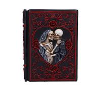 Horror & Dark Creatures Raven's Grimoire Journal 19cm | Journals & Notebooks