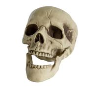 Horror-Shop Realistic Skull With Movable Jaw 20cm