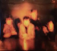 Horrors Primary Colours Double LP Vinyl XLLP418 NEW