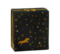 Horse Advent Calendar 2025, Equestrian Christmas Countdown Blind Box, Winter Sky Design Horse Countdown Calendar With 24 Days Horse Gifts, Family Planner, Gifts for horse lovers (Black)