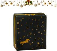 Horse Advent Calendar 2025, Winter Sky Design Horse Countdown Calendar with 24 Days Horse Gifts and Surprises,New Christmas Gifts for Horse Owners, Riders, and Stables, Black