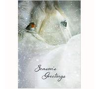 Horse And Robin Christmas Cards - Pack Of 10 - One design
