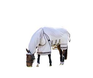 Horse anti-dermatitis rug LeMieux Kudos Shower Pro