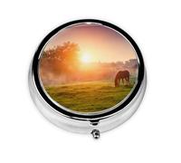Horse at Dusk This Small, Round Pill Box is a Portable Travel Medicine Organizer with Three compartments for Storing Daily medications.