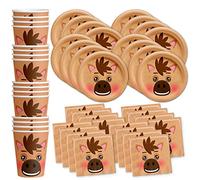 Horse Birthday Party Supplies Set Plates Napkins Cups Tableware Kit for 16