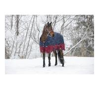 Horse blanket Equithème TYREX 1200 D 50g