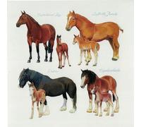 Horse Breeds Birthday Card, Cleveland Bay, Suffolk Punch, Shire, Clydesdale Design, Blank Inside