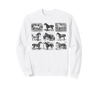 Horse breeds collection horses equestrian Equine Chart Sweatshirt