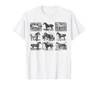 Horse Breeds Collection Horses Equestrian Equine Chart T-Shirt