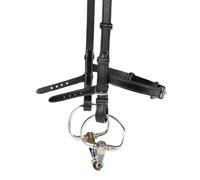 Horse bridle accessory PS of Sweden Nirak