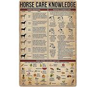 Horse Care Knowledge Metal Tin Sign,What Horse Can And Can'T Eat,Suitable For Home Garage Bar Sign Cafe Farm Country Kitchen Retro Metal Home Decores Retro Metal Tin Sign 8X12 Inches